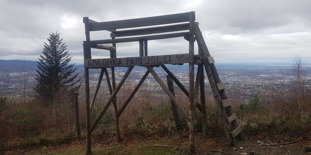 Niedźwiedź w Beskidzie Małym! Widziano go przy ambonce „pani Jolci”
