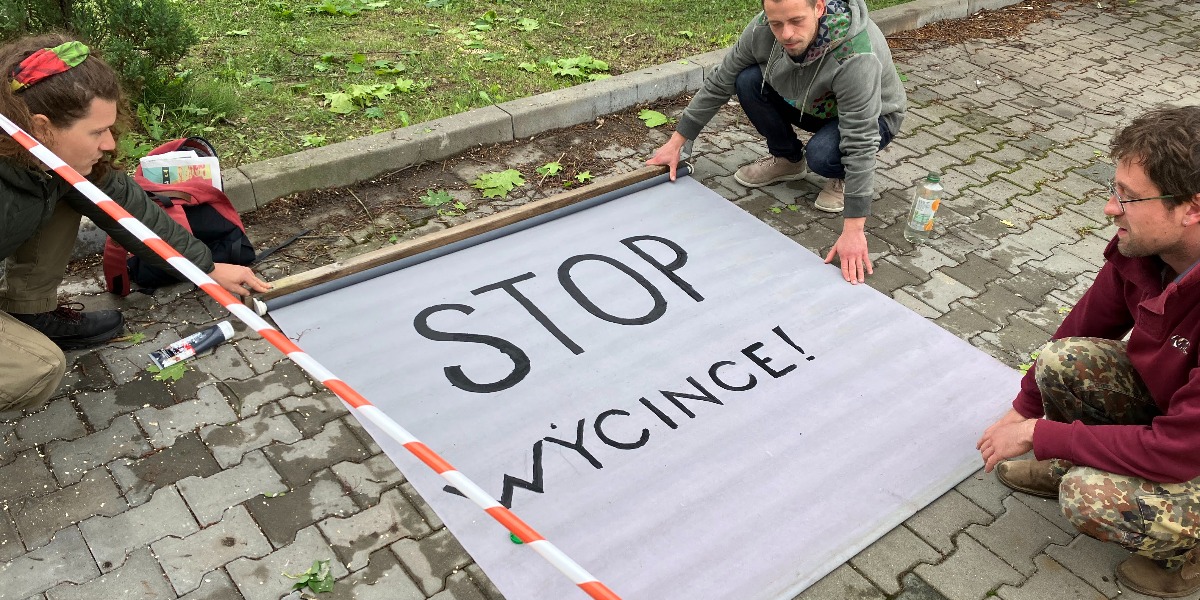 Wycinają Drzewa Na Sarnim Stoku. Szok Na Osiedlu, Niedługo Szykuje Się Protest