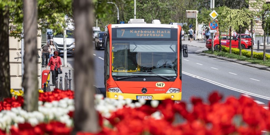 Autobusem Na Wybory... Za Darmo