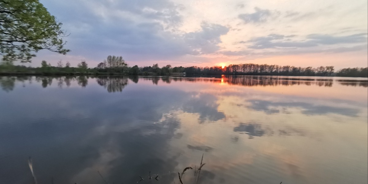 Koniec obaw o żwirownię? Stawy z nowym dzierżawcą i statusem chronionym