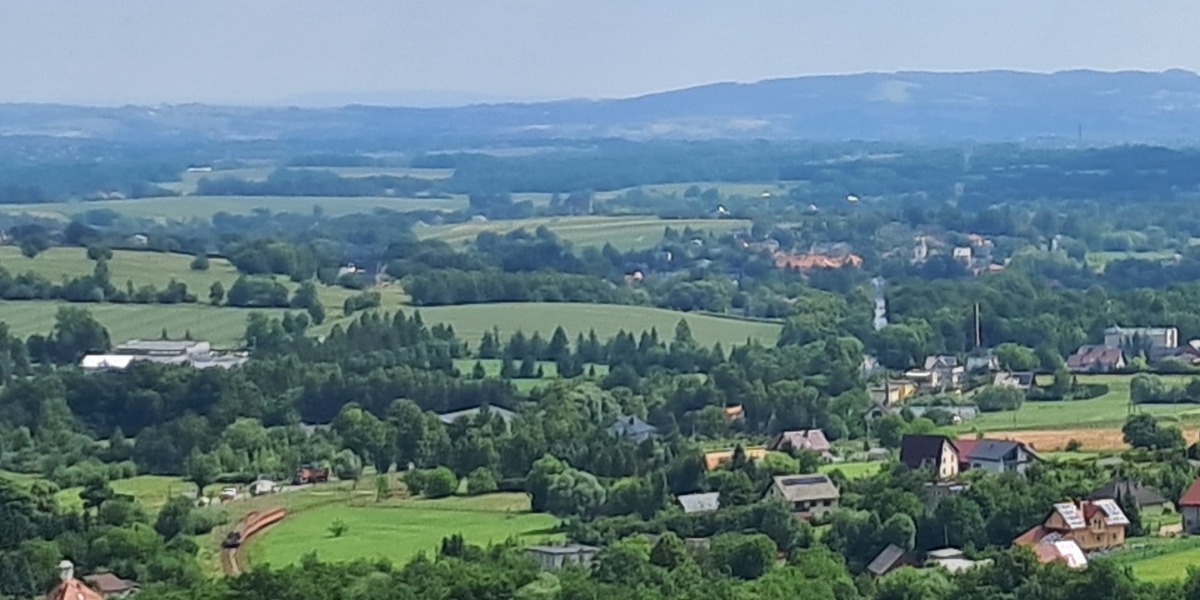 Nowe ścieżki, nasadzenia i punkt widokowy. Jesienią finał prac na Pańskiej Górze