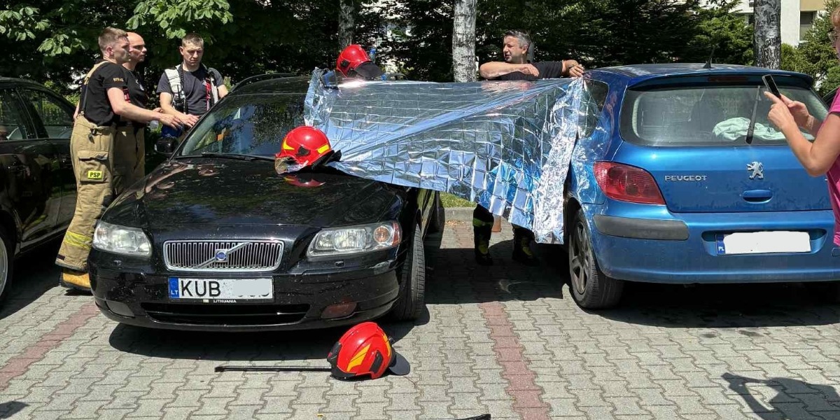 Zostawili Psa W Nagrzanym Aucie. Zareagowali Policjanci I Strażacy