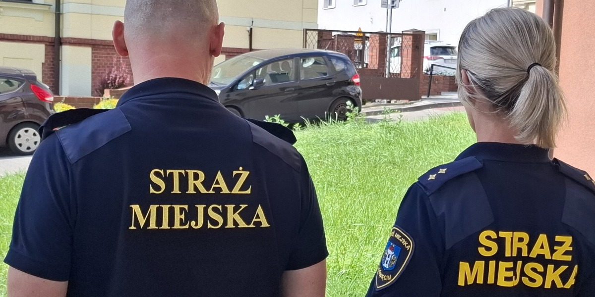 Na Celowniku Nieprawidłowe Parkowanie. Straż Miejska Powiększa Skład