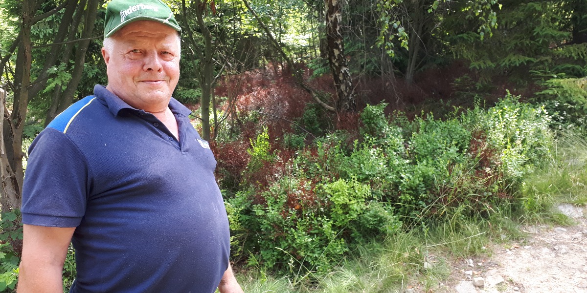 Magurka Wilkowicka: Gdzie Te Jagody?