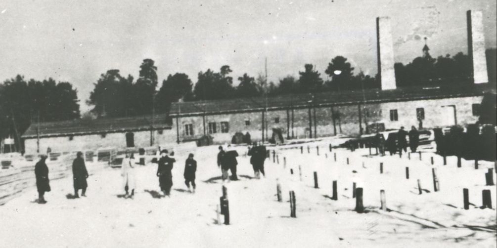 Muzeum Ostro Reaguje Na Skandaliczne Słowa Europosła