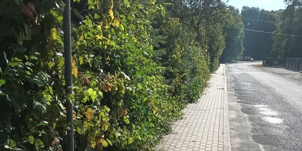 Uszkodzone Auta I Problemy Z Widocznością. Urząd Gminy Apeluje