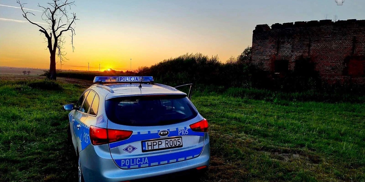 Płoty Zamiast Parkingów. Nietrzeźwi Kierowcy „Testowali” W Weekend Ogrodzenia 