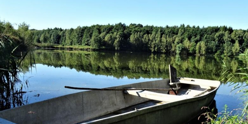 Miasto Walczy Z Plagą Komarów. Zabiegi Na 70 Hektarach