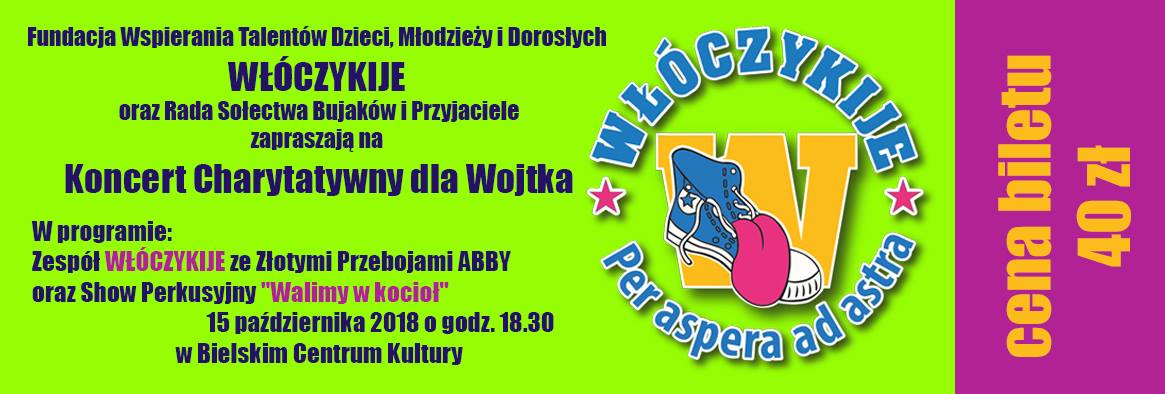 Koncert Charytatywny Dla Wojtka