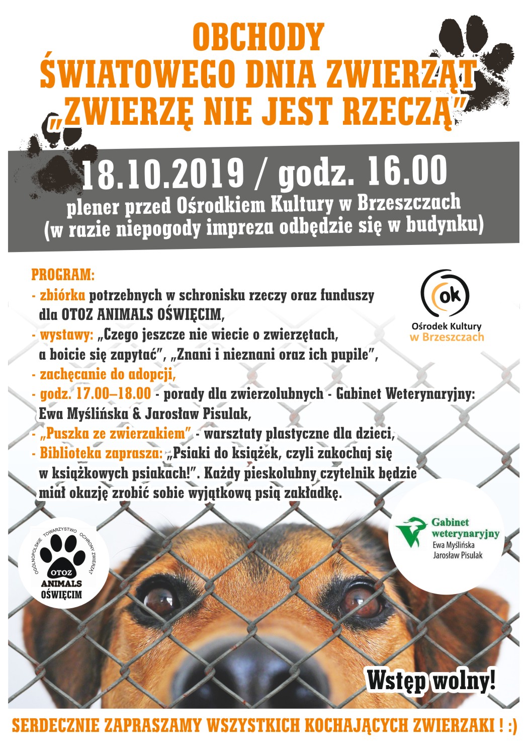 Obchody Światowego Dnia Zwierząt - Zwierzę Nie Jest Rzeczą