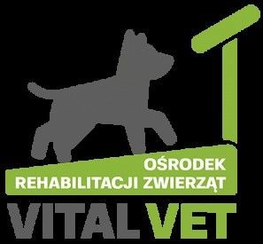 Rehabilitacja dla zwierząt domowych