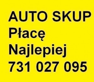 Volkswagen Golf Auto Skup Samochodów