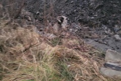 597927259_26579952081604863_2076110538743875053_n