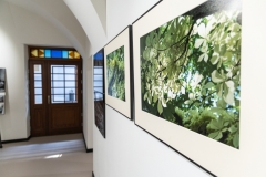 20260416-188a5292ppaaww-a_1600x1067