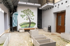 20260416-188a5307ppaaww-a_1600x1067