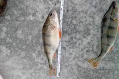 628173258_1373290581505486_3996565290845979603_n