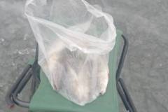 628228438_1373290534838824_3791136059106591149_n