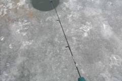 629252108_1373291681505376_8621275286776691364_n