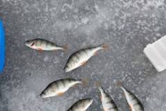 630336104_1373291458172065_1930229376126743554_n