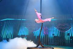 IMG-20260919-WA0268