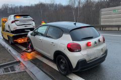 WhatsApp-Image-2026-02-10-at-07.35.41