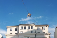 19