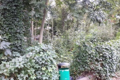 2-