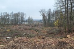 584420419_1234977435319515_1025666305211691132_n