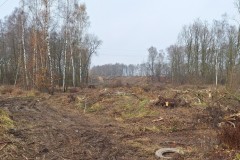 585301906_1234979301985995_1119203728480204760_n