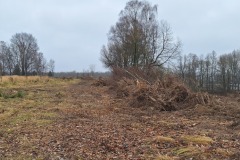 585310519_1234978478652744_7332083280035411666_n