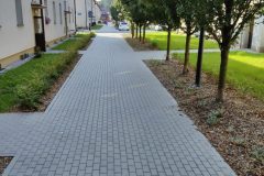 IMG_20250910_092705-1-scaled