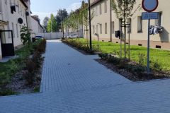 IMG_20250910_093959-1-scaled