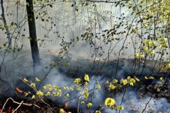 681962046_1367979792046505_998809232458495499_n