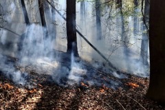 682409973_1367979662046518_6515209023685748402_n