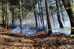 684266665_1367979875379830_8703788502461569343_n