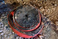 616387906_1210020304660457_3637463267256365305_n