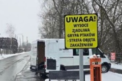 grypa