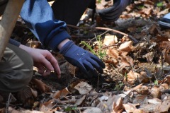 679098537_1272935168337358_7885352788034113997_n