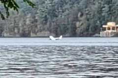 559374400_778076804843710_7769036731433361563_n