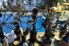 da01d6fe-00de-44c7-aff4-ff1121235599