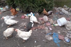 IMG20260130081759