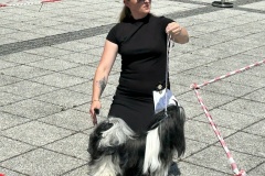 IMG_5716