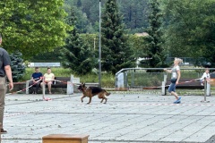 IMG_5741