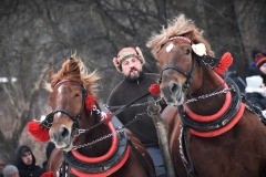 626493712_1210103411287201_5050366082916241249_n