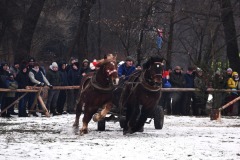 626833837_1210102164620659_2454429288244577201_n