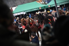 626861305_1210101074620768_8030053033368987665_n