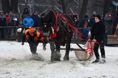 626959988_1210101351287407_8899051160734272870_n