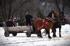 627121290_1210102787953930_3777759959902944476_n