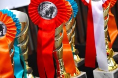 627140402_1210100867954122_421286670312844697_n