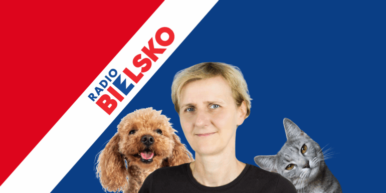 Przygarnij zwierzaka
